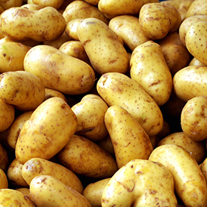 Ящики для картошки